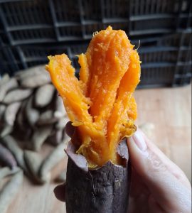 khoai-lang-mat-nuong